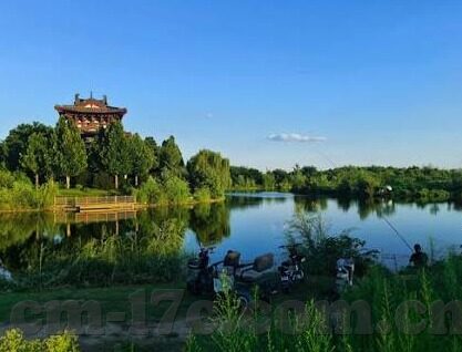 91麻豆免费视频-网络新潮流的深度思考，网络视频平台的用户体验与内容质量之辨