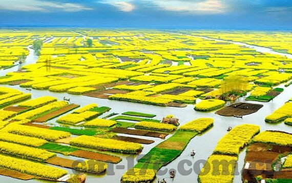 大象视频永久回家地址-大象视频，永恒归宿的温馨篇章