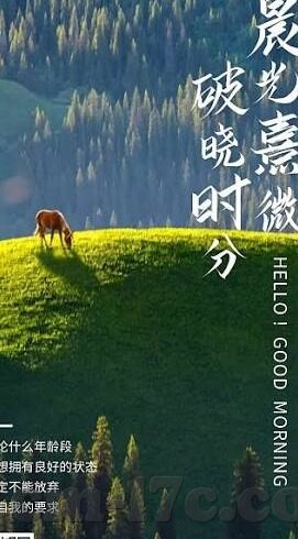 国产麻豆综合视频-国产麻豆视频平台的多样性体验与文化特色