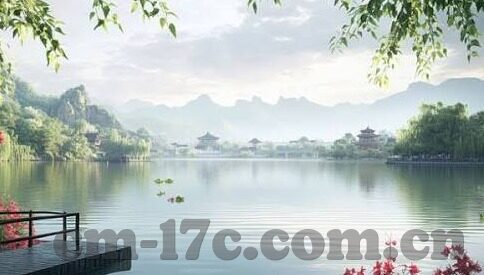 果冻传媒在线一区二区-探索果冻传媒的多元化内容平台，一区与二区的独特魅力