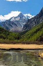果冻在线传媒-探索果冻在线传媒，数字时代的创意传播新阵地