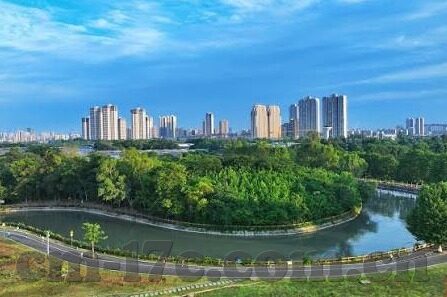 国精品午夜福利视频不卡麻豆-探索当代文化与科技交织的趣味之旅，不打烊的娱乐新面貌