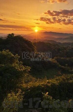 麻豆映画传媒app-夏日午后的一抹惊喜 —— 麻豆映画传媒app深度体验纪实