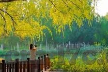 糖心app会员是真的吗-深入探讨，糖心APP会员服务的真实存在性