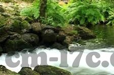 糖心vlog苹果版-糖心Vlog，苹果用户的新宠